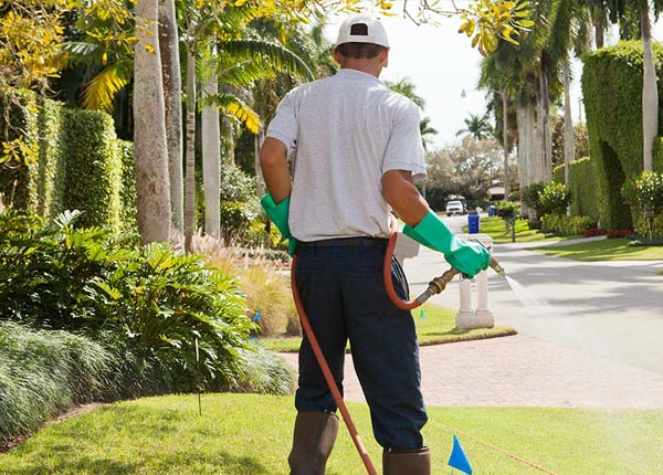 About Ada OH Pest Control